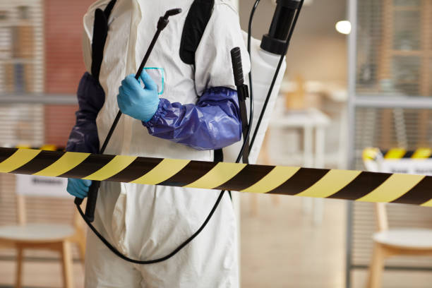Professional Hoarding Cleanup technician working in Ozone, AR
